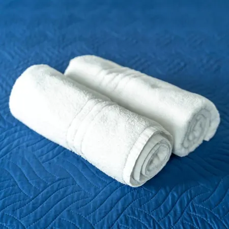 Guest house La Piazzetta 4*